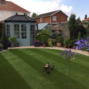 Striped Lawn with Ducks